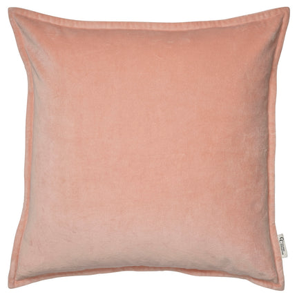 Classic Velvet Coral