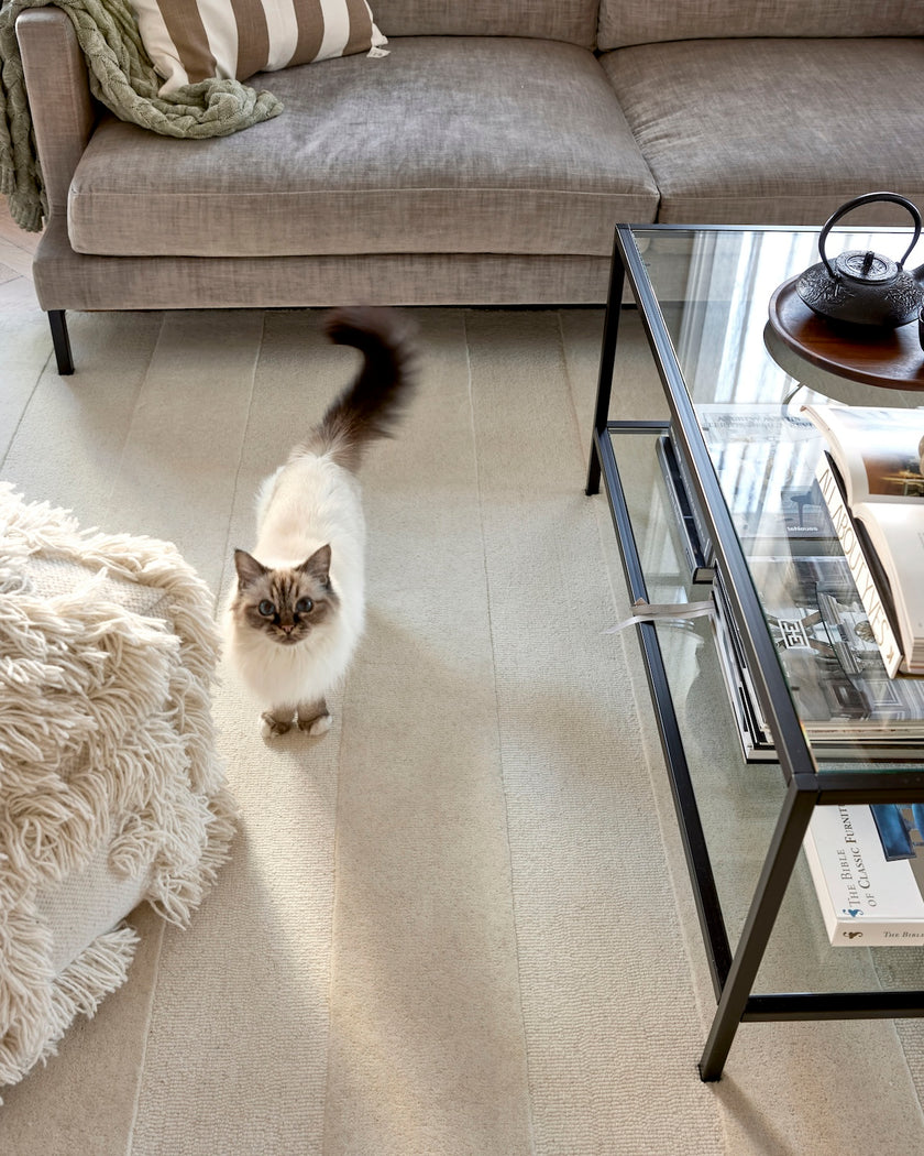 Nýtt! Stripe Boucle Ivory/Beige