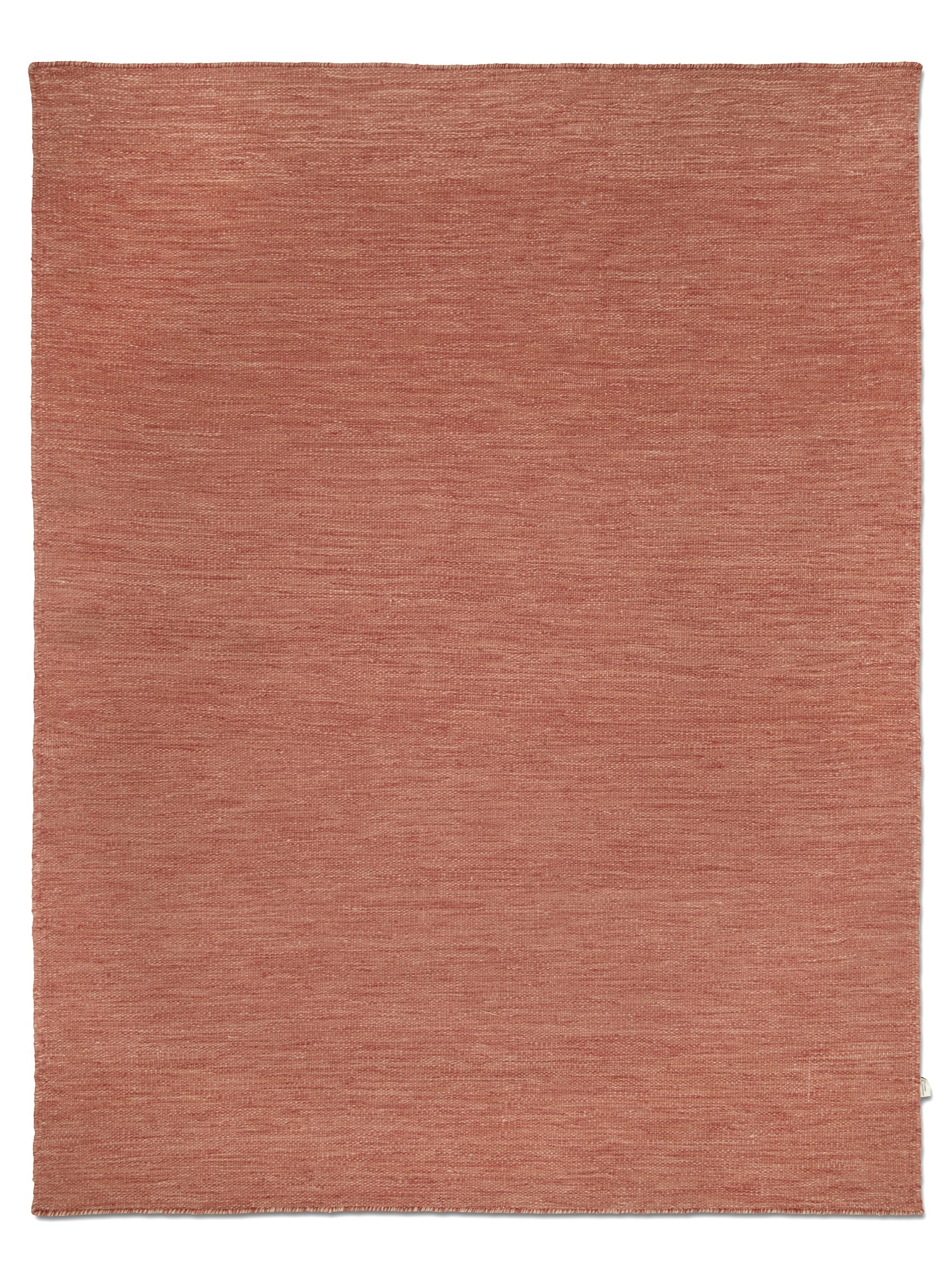 Plain Coral