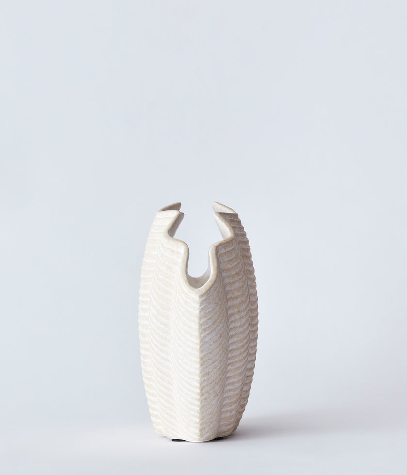 Concha Vasi hvítur lítill