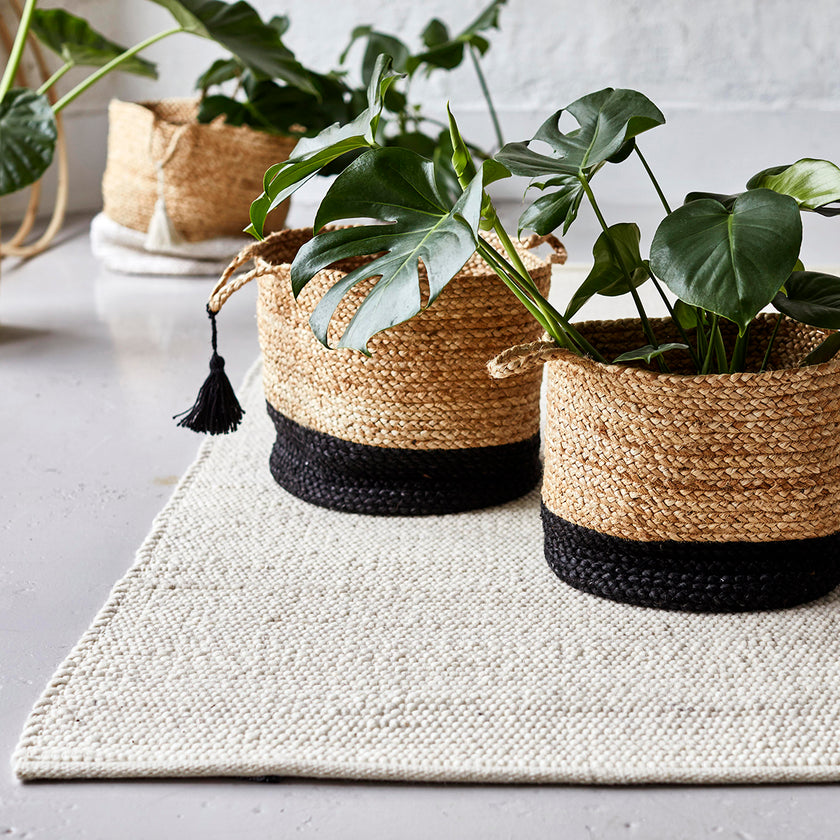 Merino Ullarmotta Oat  hnúta 